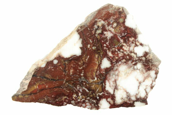 Polished Wild Horse Magnesite Slice - Arizona #264049